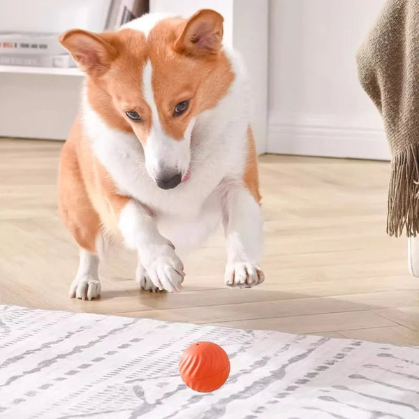 Smart Jumping Dog Toy Ball