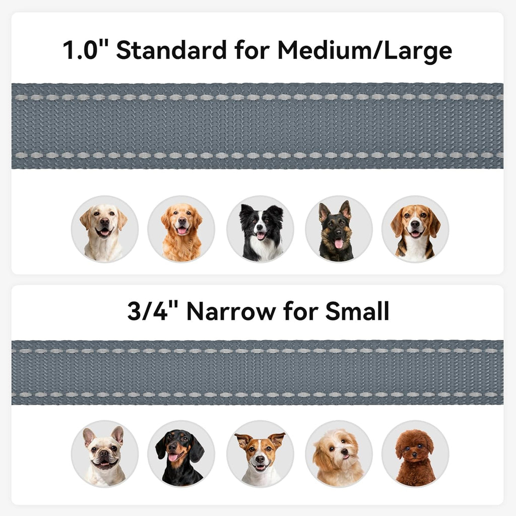 Dog Leash, 5 FT Double-Sided Reflective, Padded Handle Nylon Heavy Duty Leashes for Small Dogs Walking, Grey